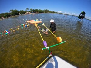Les petits nageurs du lac - Le Moutchic - lacanau | école de natation